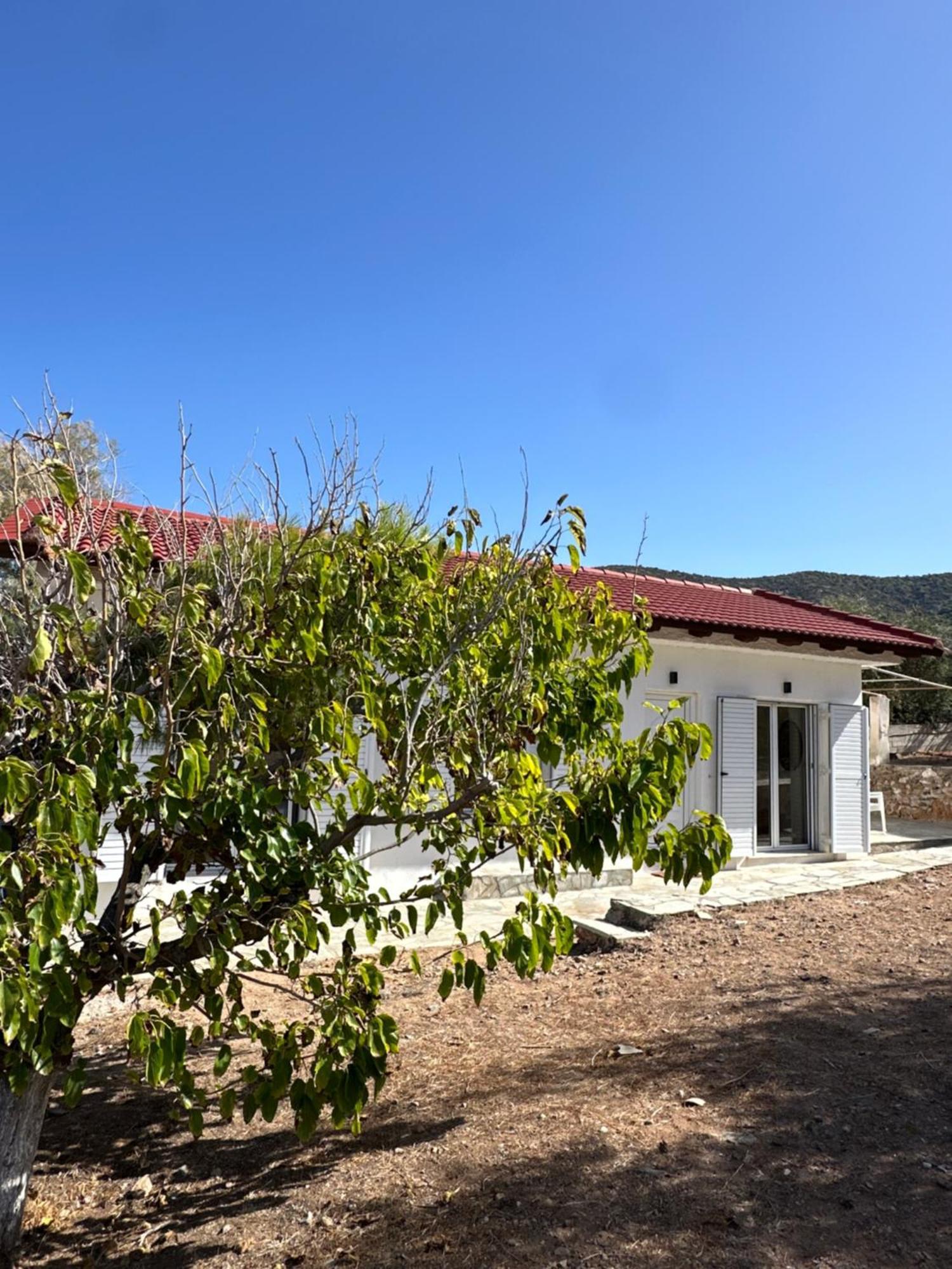Coast Cottage Porto Rafti-Avlaki Exteriér fotografie